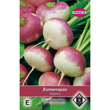 Zomerrapen, Brassica rapa 'Aramis'