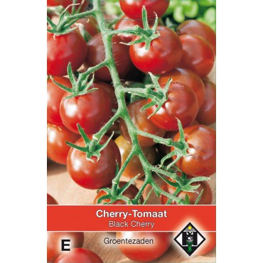 Cherry-Tomaat Black Cherry