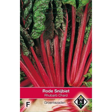 Snijbiet Rhubarb Chard