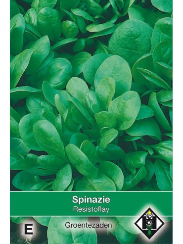 Spinazie Resistoflay, 35 gr.