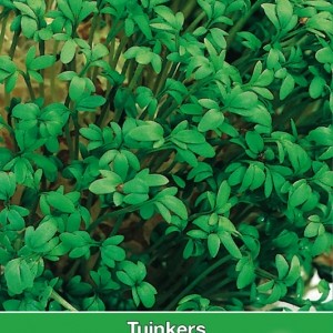 Tuinkers / Lepidium 