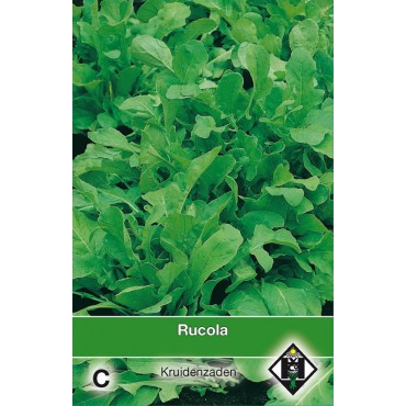 Rucola  / Eruca sativa