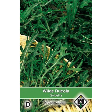 Wilde Rucola Sylvetta / Diplotaxis 