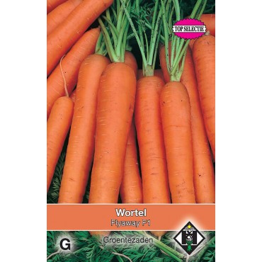 Wortel, Daucus carota 'Flyaway F1'