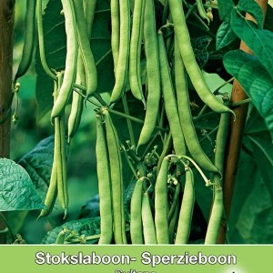 Stokslaboon Sultana, 30 gr.