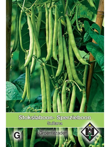 Stokslaboon Sultana, 30 gr.