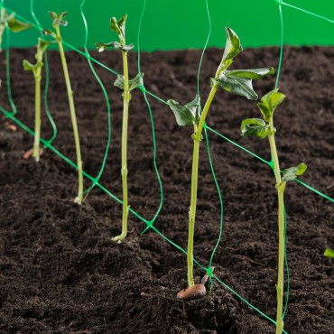 Tuinnet, Klim-groei- en geleidenet