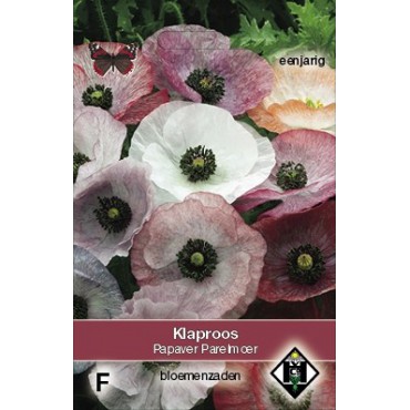 Papaver rhoeas 'Parelmoer'