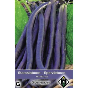 Stamslaboon, Phaseolus vulgaris 'Amethyst', 30 gr.