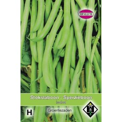 Stokslaboon, Phaseolus vulgaris 'Isabel', 30 gr.