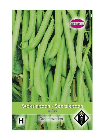 Stokslaboon, Phaseolus vulgaris 'Isabel', 30 gr.